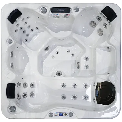 Avalon EC-849L hot tubs for sale in Fountain Valley
