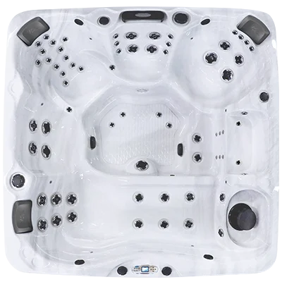 Avalon EC-867L hot tubs for sale in Fountain Valley